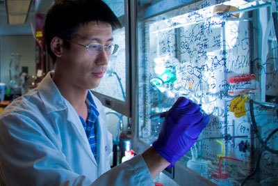 kinas inhibitor research